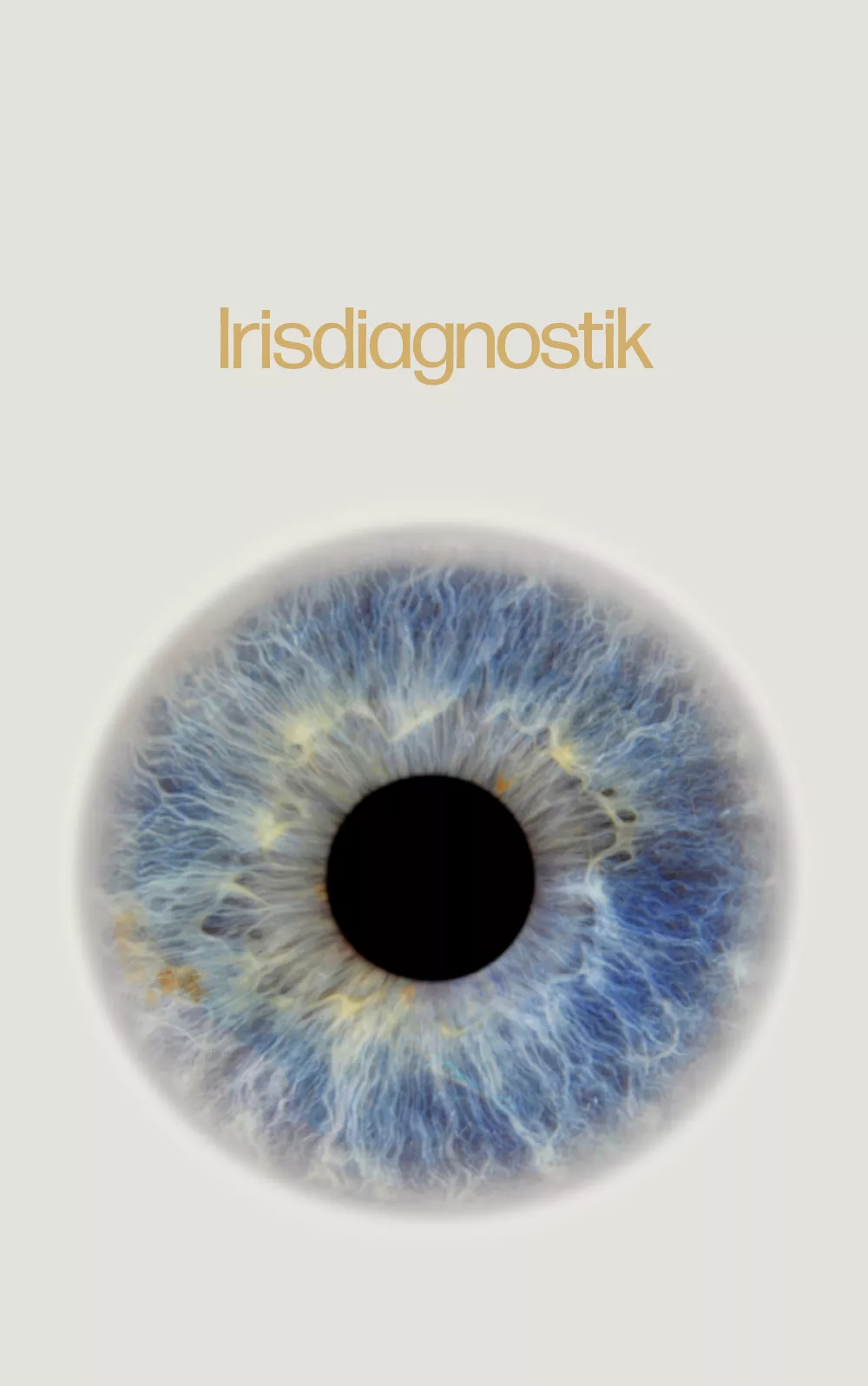 Irisdiagnostik